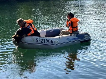 ECHO Viz\ gyakorlatok