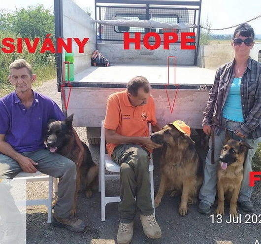 On 9 July 2024, a request for assistance was received from a family in Baktakék, reporting that their 64‑year‑old relative had set out for the hospital in Szikszó but never returned home.