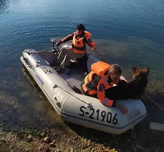 The Kemecse Police Station of the Nyíregyháza Police Department has launched a missing‑person investigation regarding the disappearance of Csaba G., a 54‑year‑old resident of Kemecse.